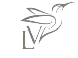Logotipo de LV Estética Menorca, estética avanzada en LUVIC, Maó
